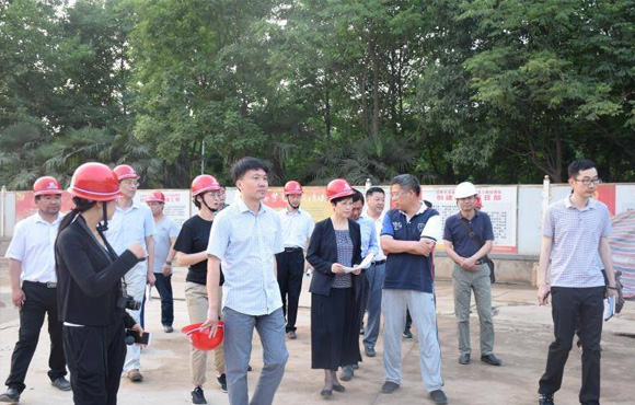 合肥市凌云市长莅临清溪项目检查指导工作