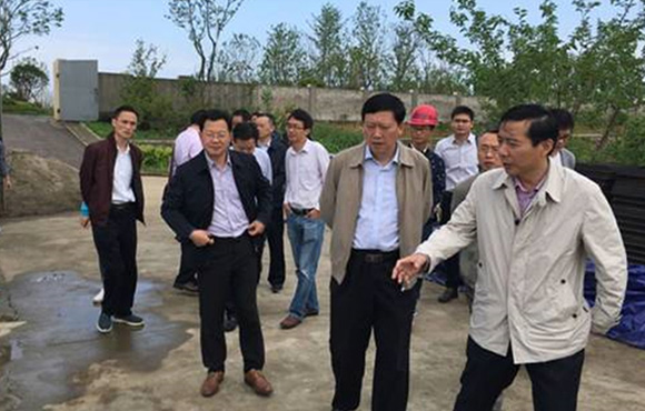 铜陵市副市长王纲根一行视察铜陵市黑砂河流域水系治理工程