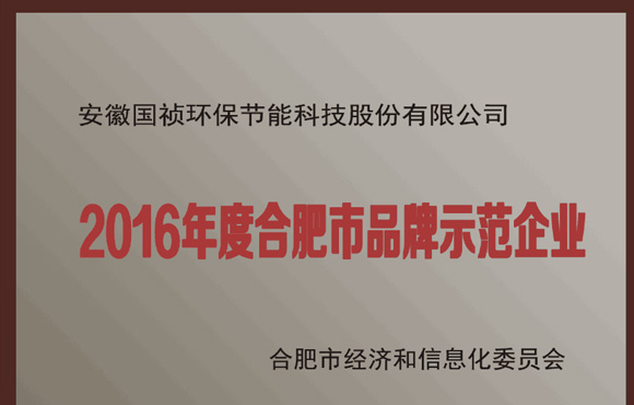 国祯环保荣获2016年度“合肥市品牌示范企业”称号