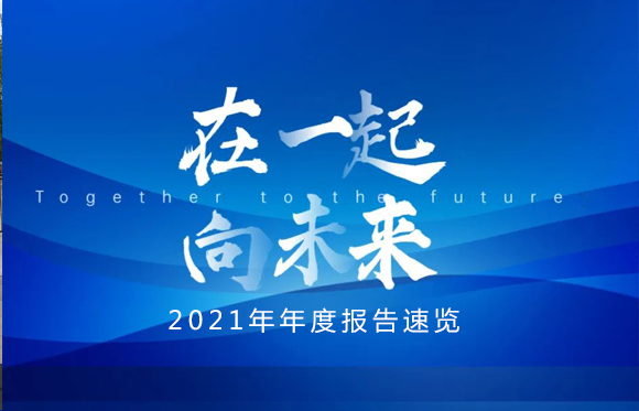 2021年年度报告速览